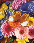 Жалюзи Бабочки 04209