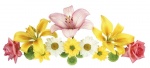 Жалюзи Цветы 23168