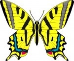 Жалюзи Бабочки 04106