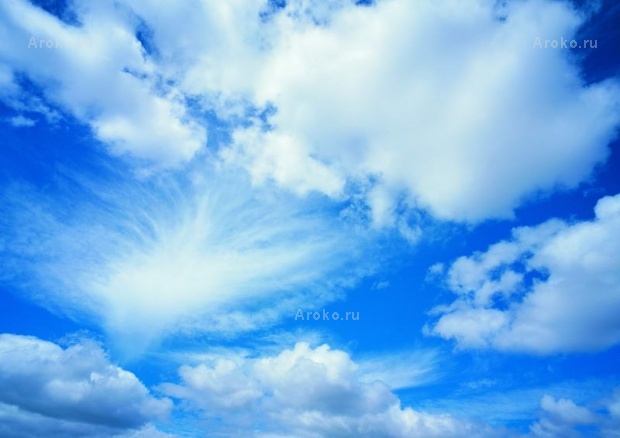 Небо и облака 14024 