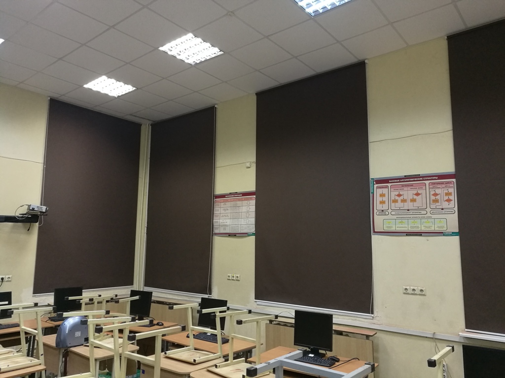 Рулонные шторы стандартные для класса, темно-коричневые
